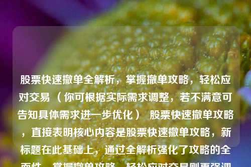 股票快速撤单全解析,掌握撤单攻略,轻松应对交易 (你可根据实际需求调整,若不满意可告知具体需求进一步优化) 股票快速撤单攻略,直接表明核心内容是股票快速撤单攻略,新标题在此基础上,通过全解析强化了攻略的全面性,掌握撤单攻略,轻松应对交易则更强调对投资者实际操作的帮助,让投资者能更清晰地了解通过掌握攻略可实现的效果,同时添加话题标签以增加搜索曝光度。