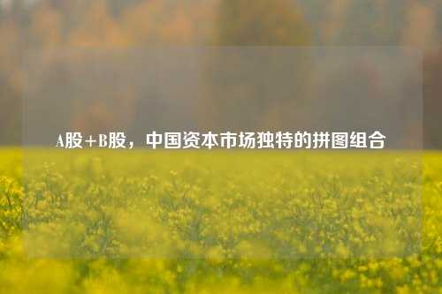 A股+B股，中国资本市场独特的拼图组合