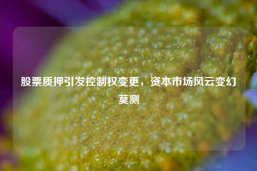 股票质押引发控制权变更,资本市场风云变幻莫测