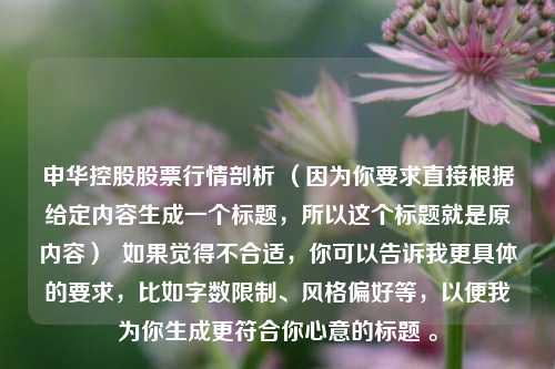 申华控股股票行情剖析 （因为你要求直接根据给定内容生成一个标题，所以这个标题就是原内容）  如果觉得不合适，你可以告诉我更具体的要求，比如字数限制、风格偏好等，以便我为你生成更符合你心意的标题 。