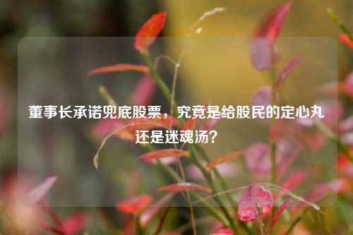 董事长承诺兜底股票,究竟是给股民的定心丸还是迷魂汤?