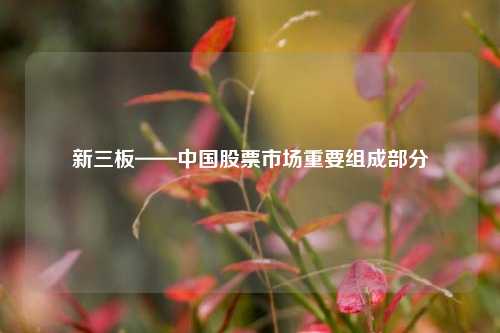 新三板——中国股票市场重要组成部分