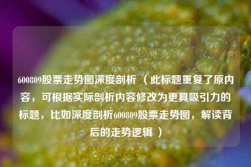 600809股票走势图深度剖析 (此标题重复了原内容,可根据实际剖析内容修改为更具吸引力的标题,比如深度剖析600809股票走势图,解读背后的走势逻辑 )