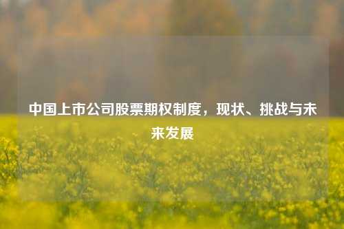 中国上市公司股票期权制度，现状、挑战与未来发展