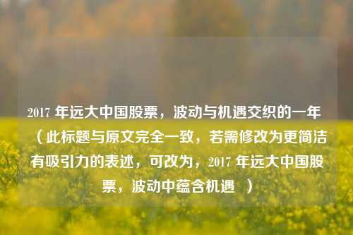 2017 年远大中国股票,波动与机遇交织的一年 (此标题与原文完全一致,若需修改为更简洁有吸引力的表述,可改为,2017 年远大中国股票,波动中蕴含机遇 )