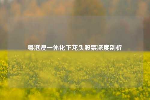 粤港澳一体化下龙头股票深度剖析