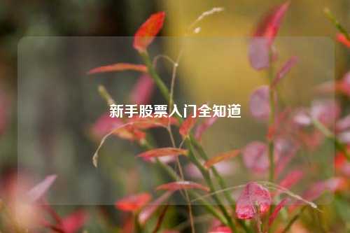 新手股票入门全知道