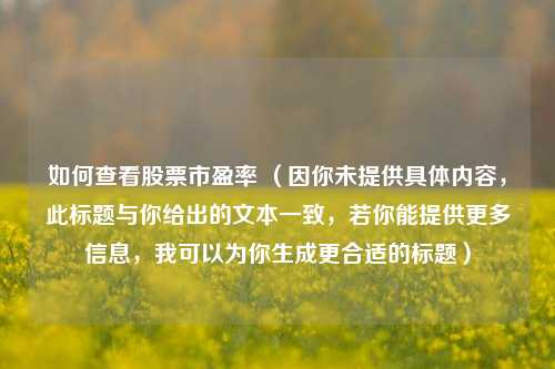 如何查看股票市盈率 (因你未提供具体内容,此标题与你给出的文本一致,若你能提供更多信息,我可以为你生成更合适的标题)