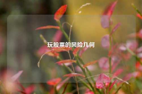 玩股票的风险几何