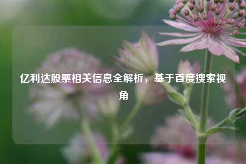 亿利达股票相关信息全解析，基于百度搜索视角