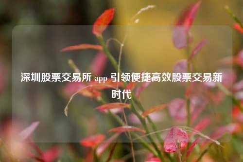 深圳股票交易所 app 引领便捷高效股票交易新时代