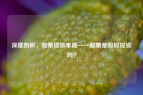 深度剖析，股票投资本质——股票是股权投资吗？