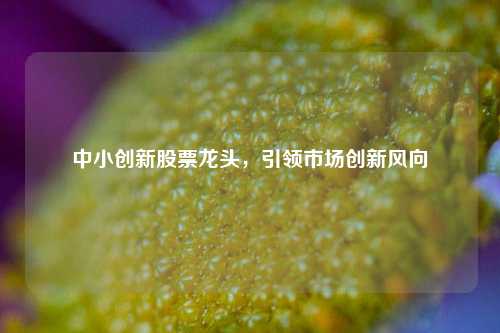 中小创新股票龙头，引领市场创新风向