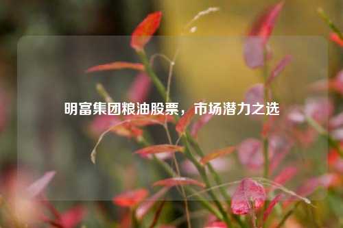 明富集团粮油股票，市场潜力之选
