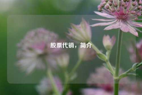 股票代销，简介