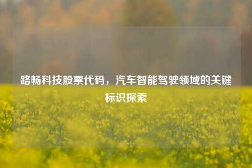 路畅科技股票代码,汽车智能驾驶领域的关键标识探索