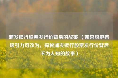 浦发银行股票发行价背后的故事 （如果想更有吸引力可改为，探秘浦发银行股票发行价背后不为人知的故事）