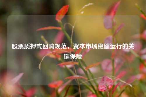 股票质押式回购规范，资本市场稳健运行的关键保障