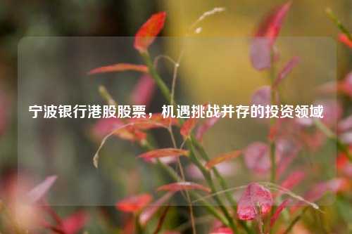 宁波银行港股股票，机遇挑战并存的投资领域