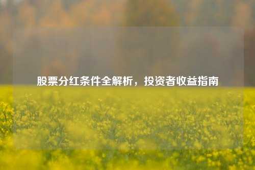 股票分红条件全解析,投资者收益指南