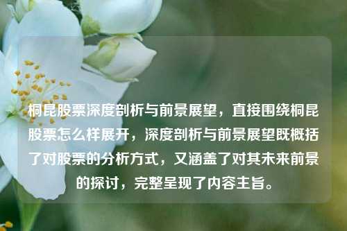 桐昆股票深度剖析与前景展望，直接围绕桐昆股票怎么样展开，深度剖析与前景展望既概括了对股票的分析方式，又涵盖了对其未来前景的探讨，完整呈现了内容主旨。