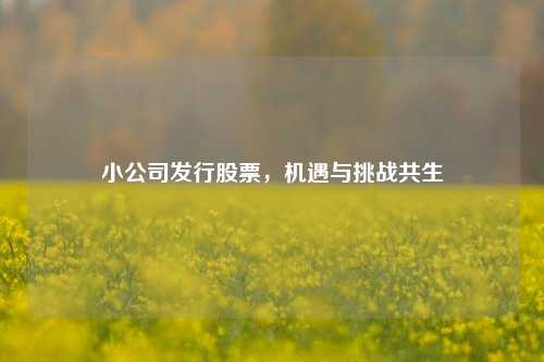 小公司发行股票，机遇与挑战共生
