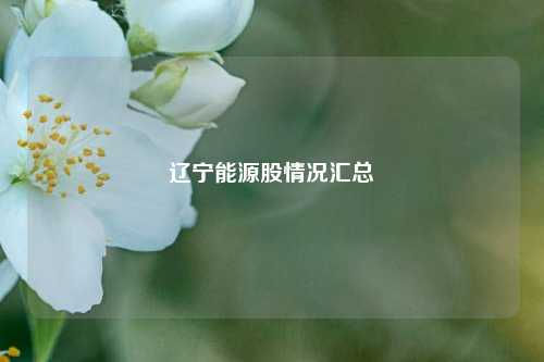 辽宁能源股情况汇总