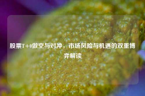 股票T+0做空与对冲，市场风险与机遇的双重博弈解读
