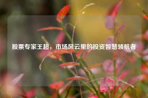股票专家王超,市场风云里的投资智慧领航者