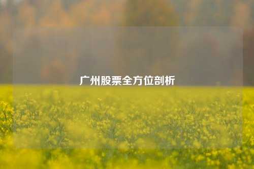 广州股票全方位剖析