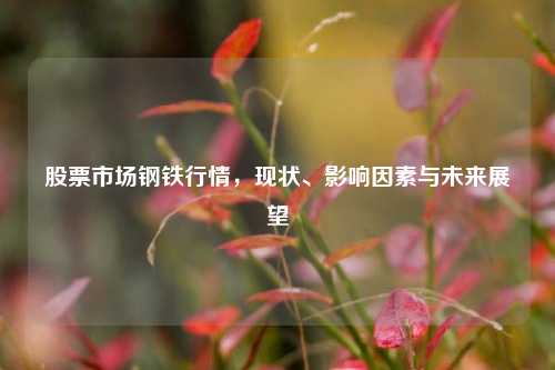 股票市场钢铁行情,现状、影响因素与未来展望