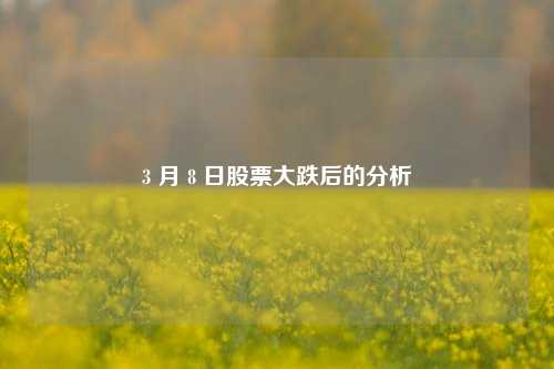 3 月 8 日股票大跌后的分析