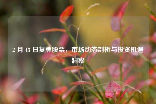 2 月 13 日复牌股票，市场动态剖析与投资机遇洞察