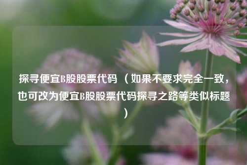 探寻便宜B股股票代码 （如果不要求完全一致，也可改为便宜B股股票代码探寻之路等类似标题）
