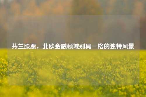 芬兰股票，北欧金融领域别具一格的独特风景
