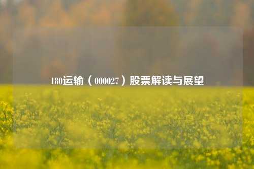 180运输（000027）股票解读与展望