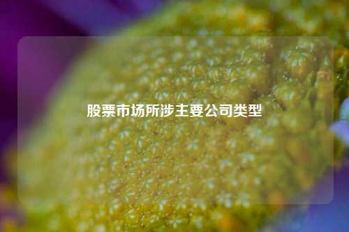 股票市场所涉主要公司类型