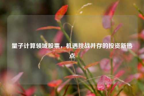 量子计算领域股票，机遇挑战并存的投资新热点