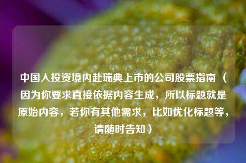 中国人投资境内赴瑞典上市的公司股票指南 （因为你要求直接依据内容生成，所以标题就是原始内容，若你有其他需求，比如优化标题等，请随时告知）