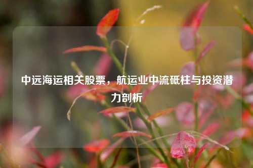 中远海运相关股票，航运业中流砥柱与投资潜力剖析