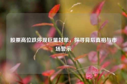 股票高位跌停现巨量封单，探寻背后真相与市场警示