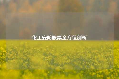 化工安防股票全方位剖析