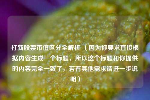 打新股票市值区分全解析 （因为你要求直接根据内容生成一个标题，所以这个标题和你提供的内容完全一致了，若有其他需求请进一步说明）