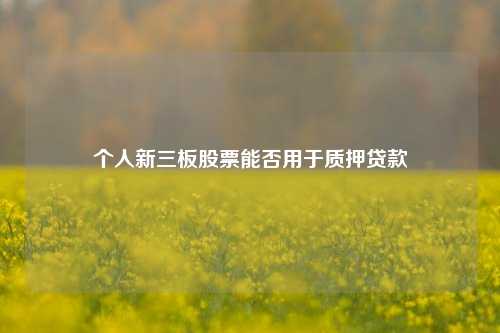 个人新三板股票能否用于质押贷款