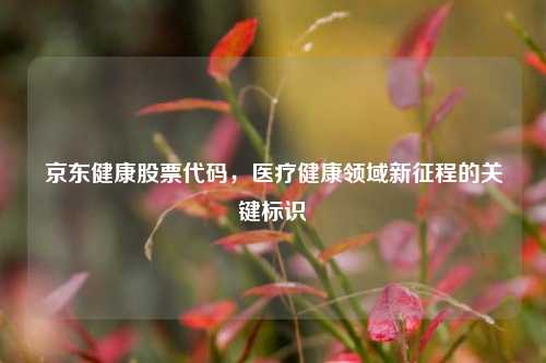 京东健康股票代码,医疗健康领域新征程的关键标识