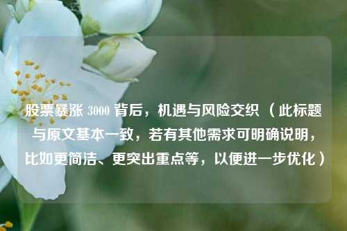 股票暴涨 3000 背后,机遇与风险交织 (此标题与原文基本一致,若有其他需求可明确说明,比如更简洁、更突出重点等,以便进一步优化)