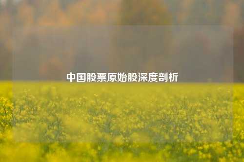 中国股票原始股深度剖析