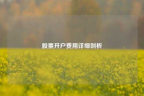 股票开户费用详细剖析
