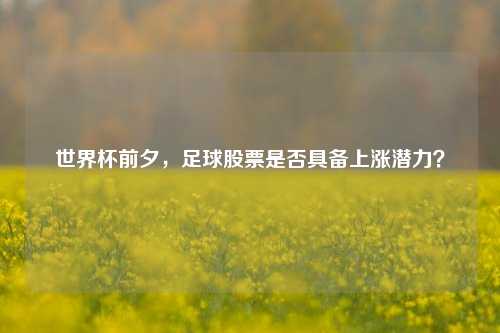 世界杯前夕,足球股票是否具备上涨潜力?