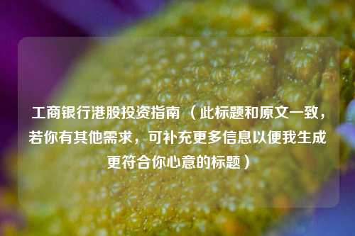 工商银行港股投资指南 （此标题和原文一致，若你有其他需求，可补充更多信息以便我生成更符合你心意的标题）